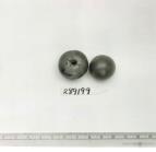 Click for 1 image(s) for this accession. FRUIT